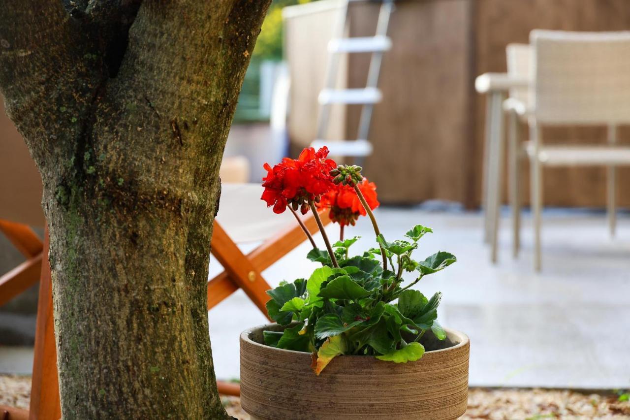 The Florens Residence Near The Beach With The Pool, Bbq And Kids Playground, Zadar Diklo Екстериор снимка